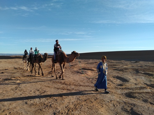 camel ride