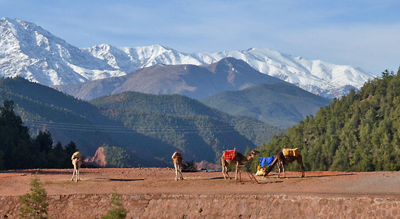 atlas valleys day trip